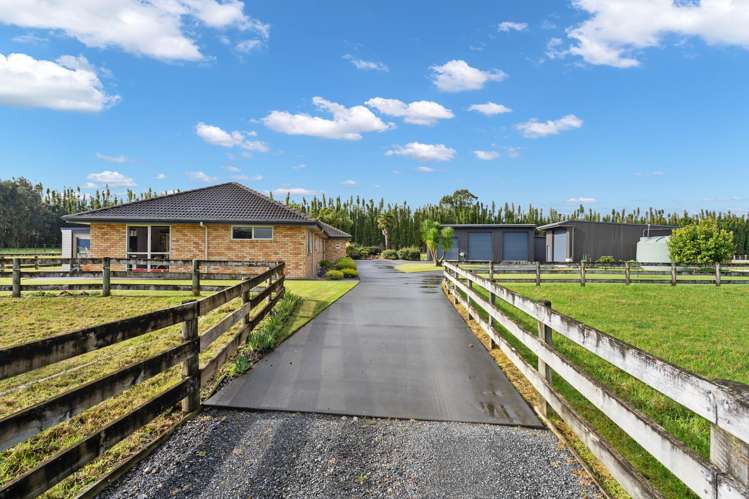 123B Ness Road Waipapa_17