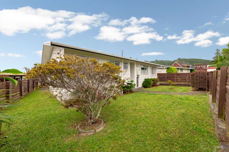 33- Roband Crescent Brown Owl_12