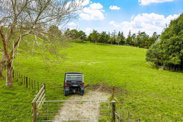 The Farmhouse I Quintal Road Matakana_15
