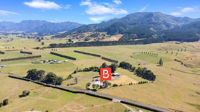 1409 Te Aroha-Gordon Road Matamata_3