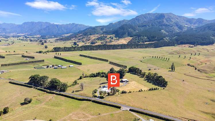 1409 Te Aroha-Gordon Road Matamata_2