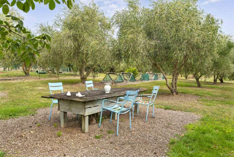 14 Campbell Drive Martinborough_20