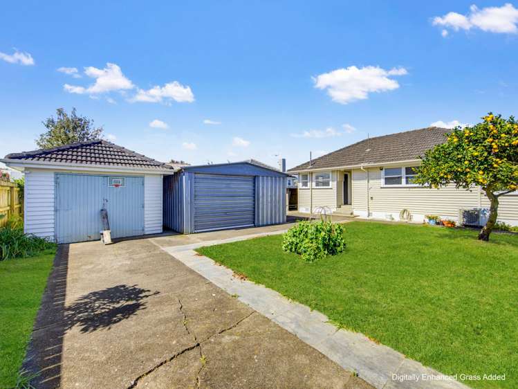 18 Clyde street Levin_18