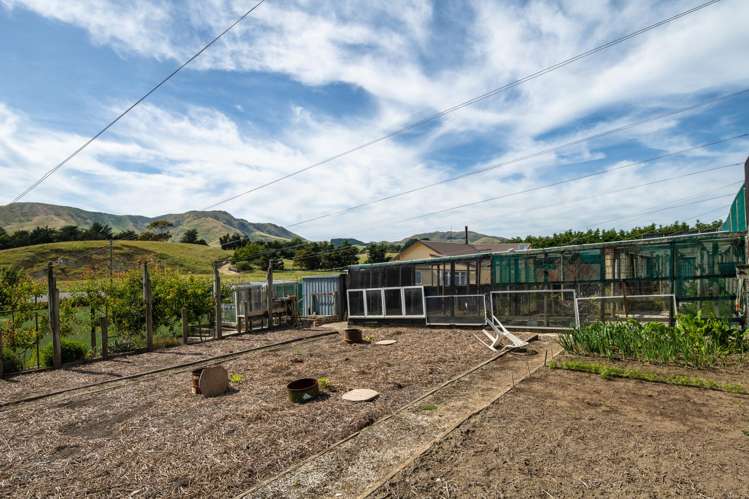 7418 State Highway 1 Ward_18