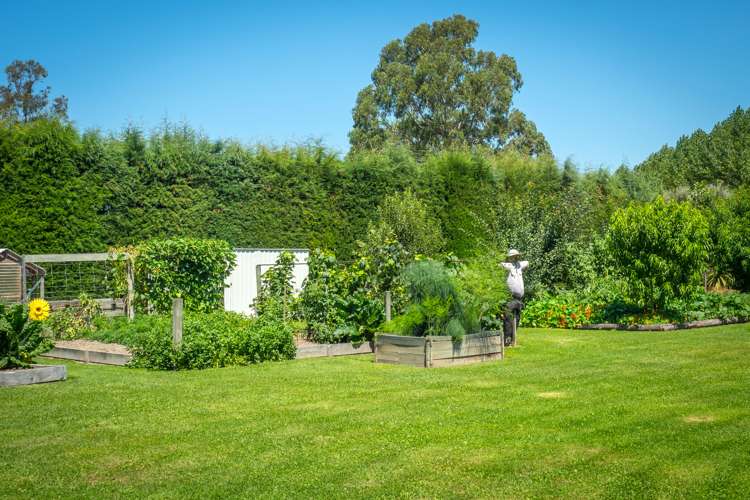 2 Cass Street Temuka_6