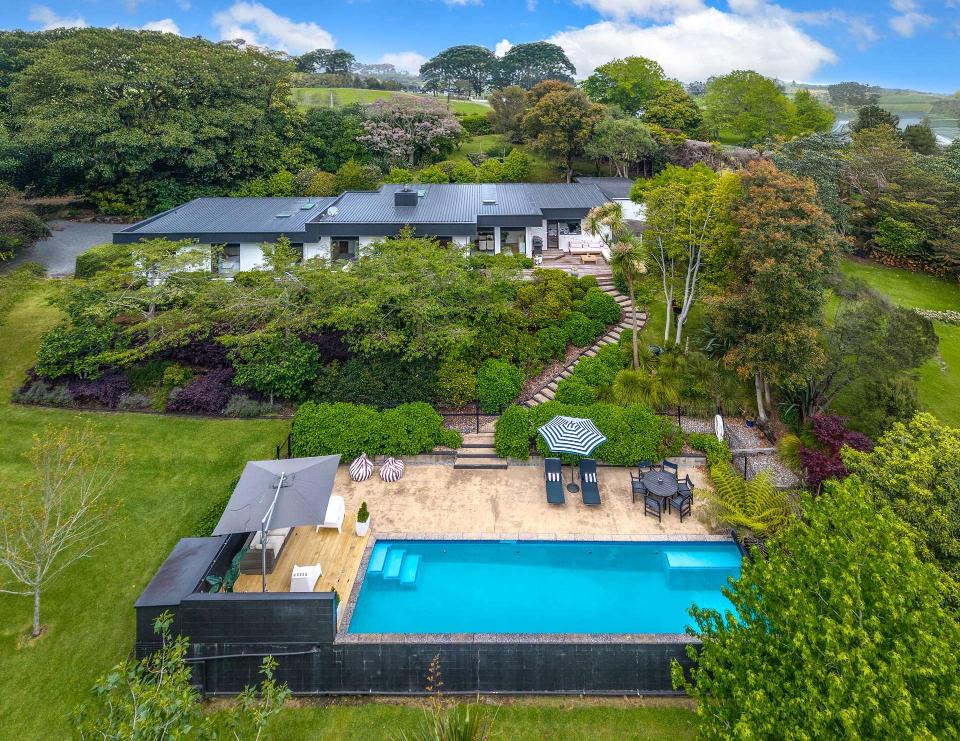 18 Ara-Kotinga Whitford_0