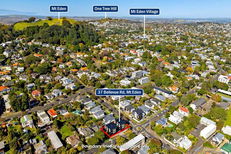 37B Bellevue Road Mt Eden_15