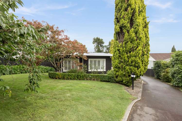 17 Franklin Terrace Havelock North_17