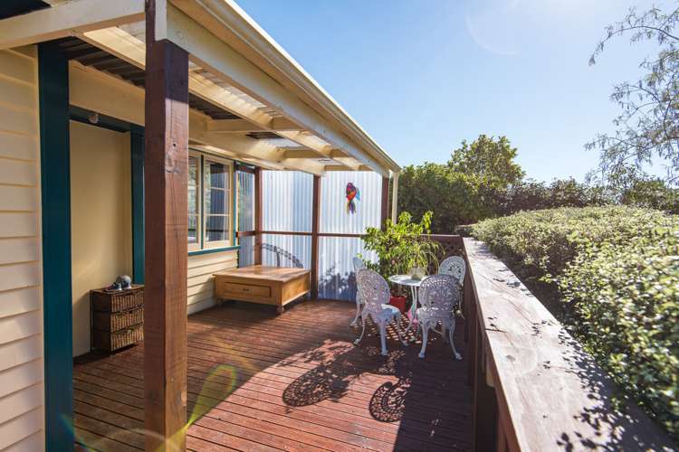 42 Murphy Street Toi Toi_4