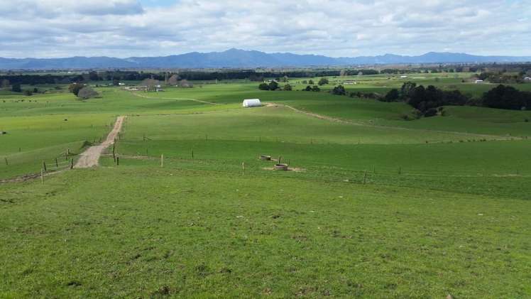 Morrinsville-Tahuna Road Morrinsville_17