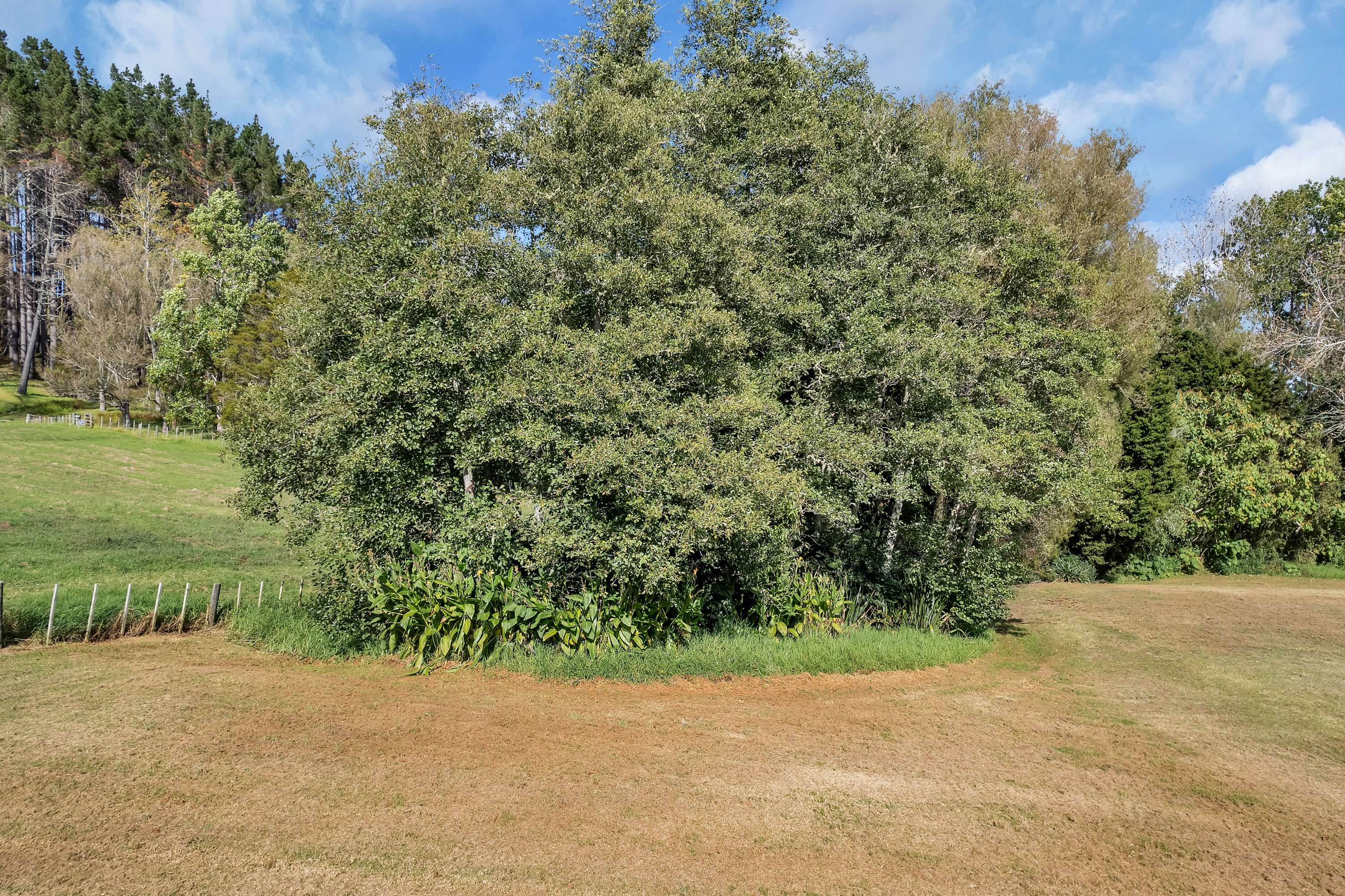 95 McLennan Road Whakapara Whangārei Houses for Sale One Roof