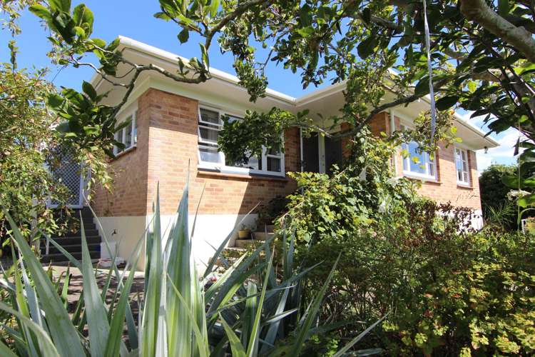 49 Aorangi Road Paeroa_13