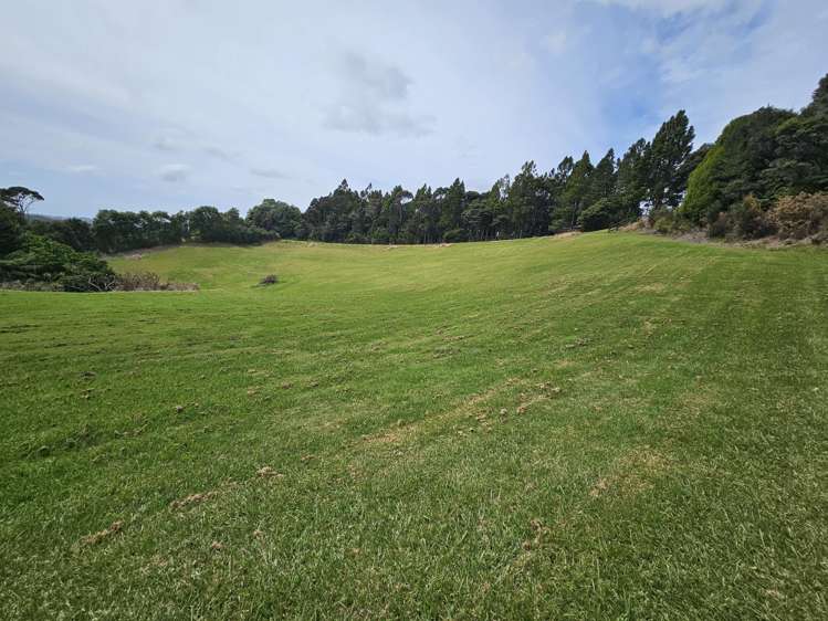 214a Three Oaks Drive Dairy Flat_8