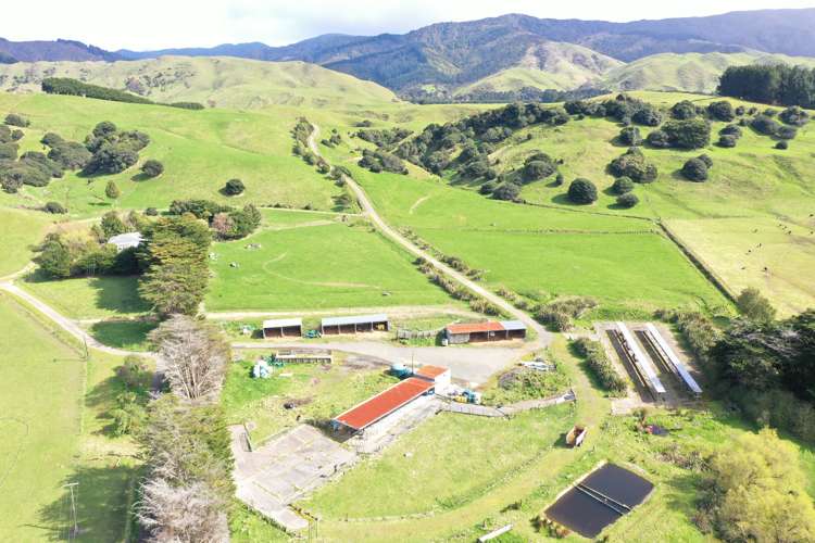 85289 State Highway 2 Eketahuna_21