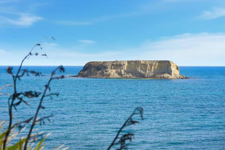 4 Pegasus Crescent Motunau_21