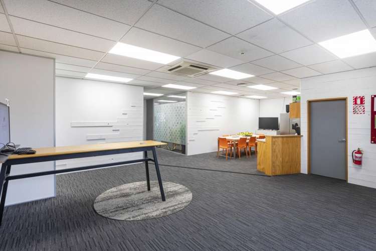 23 Carlyle Street Sydenham_6