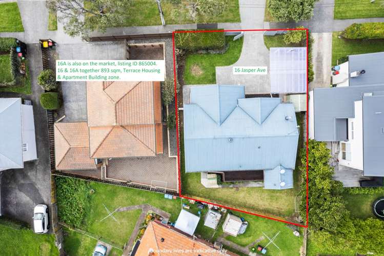 16 Jasper Avenue Mount Roskill_17