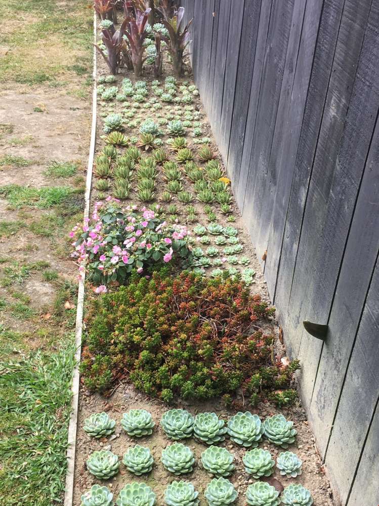 22 King Edward Street Mount Eden_21