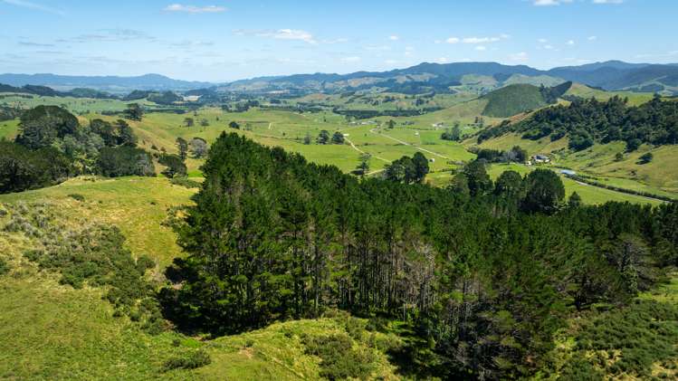 31 Ngatitangata Road Waihi_7