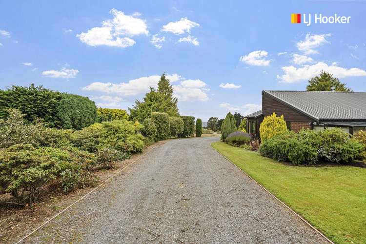 43 Halfway Bush Road Halfway Bush_26