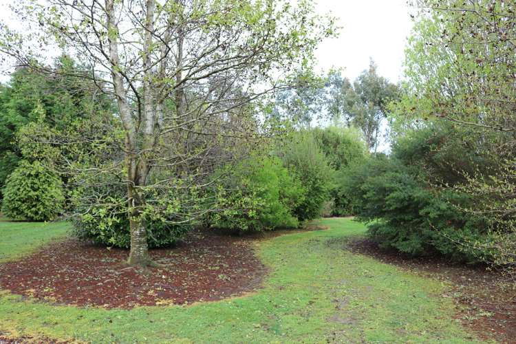 214 Findlay Road Ascot_8