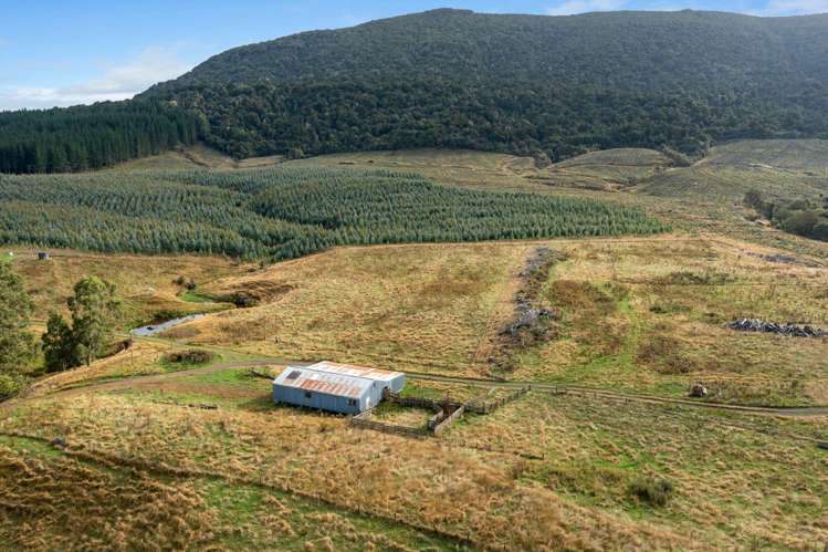 Tahakopa Valley Road Catlins Surrounds_13