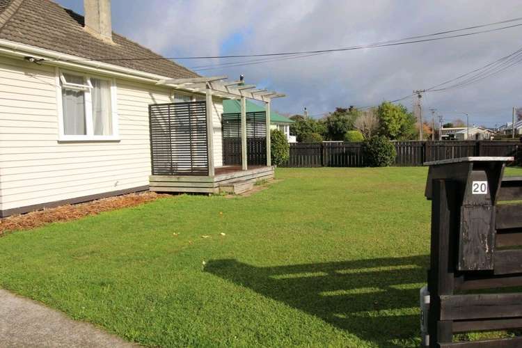 20 Ward Street Bulls_26