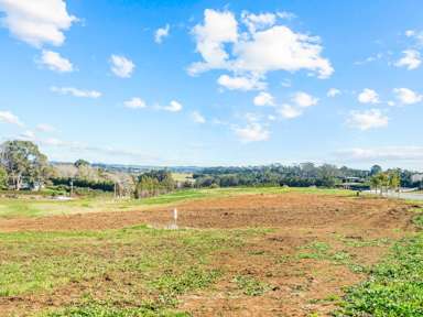 Lot 81/1001 Kapiro Road_3
