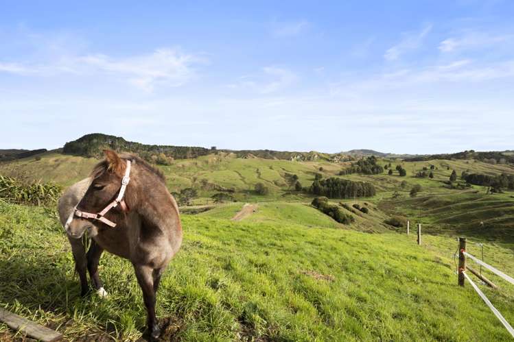 844 Wairamarama Onewhero Road Onewhero_6
