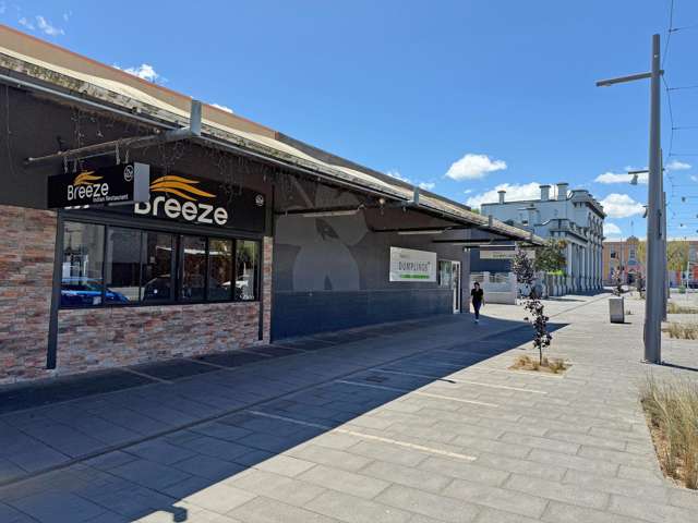 18 Hood Street Hamilton Central_1