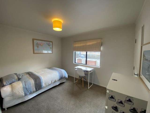 69B Paterson Street 11229_4