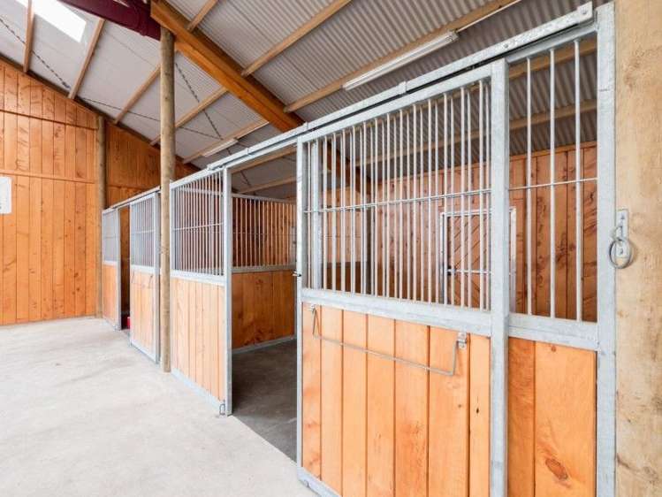 4036 South Road Opunake_17