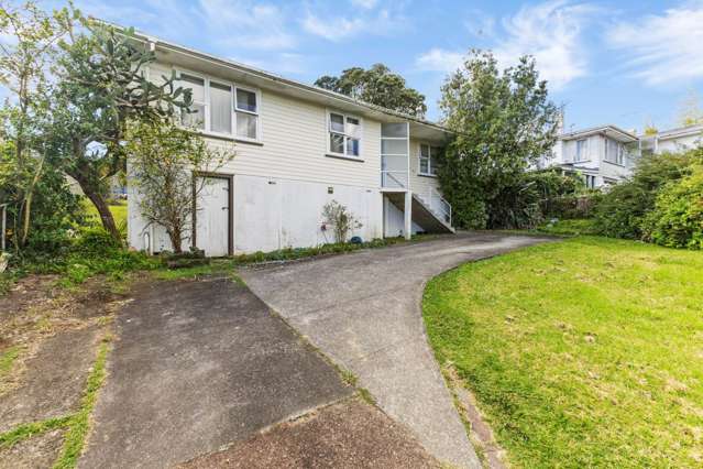 51 Ellis Avenue Mount Roskill_4