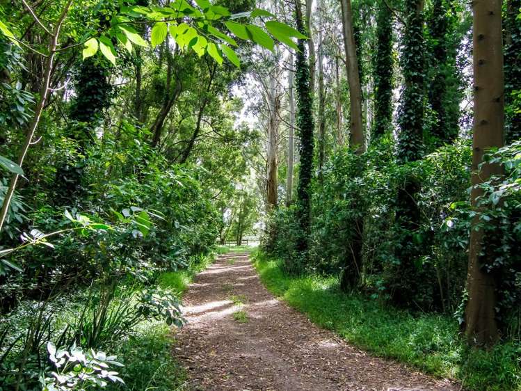 66 Duddings Line Tauwharenikau_13