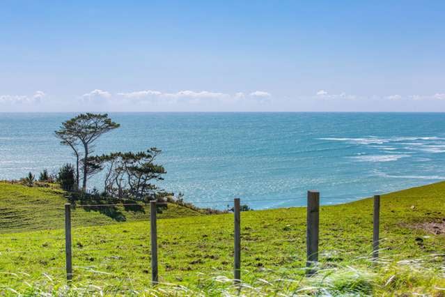 472a Wainui Road Raglan_3