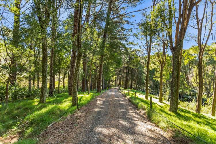 1409SH Tairua Whitianga Hwy_5