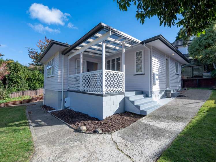 14 Nikau Street Springfield_2