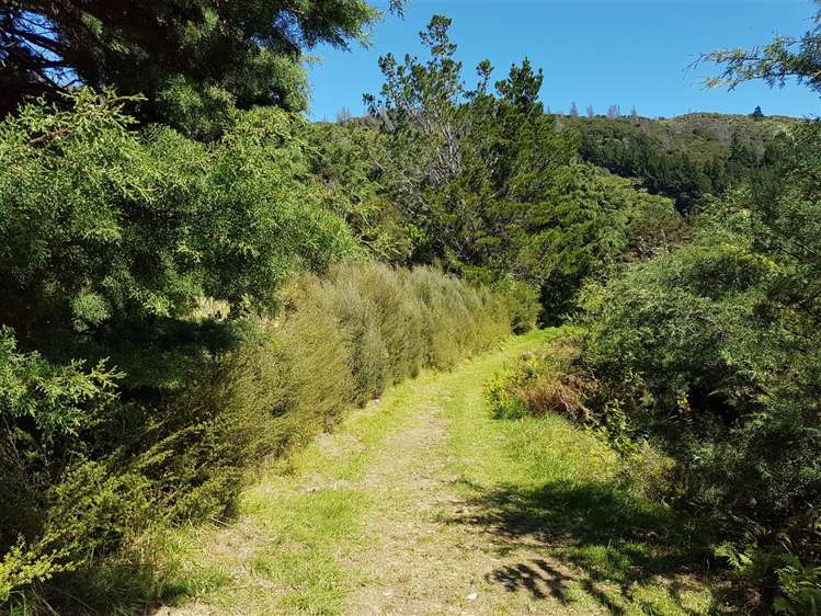 135 Akerbloms Road Kenepuru Sound_5