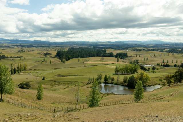2412 Taihape Road Sherenden_4