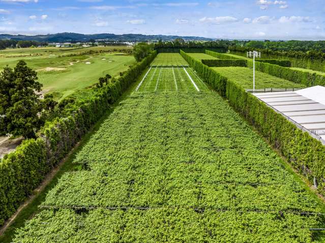 155 Phillip Road Takanini_2