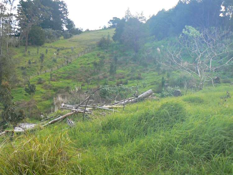 15 Wharekawa Road Oue_1