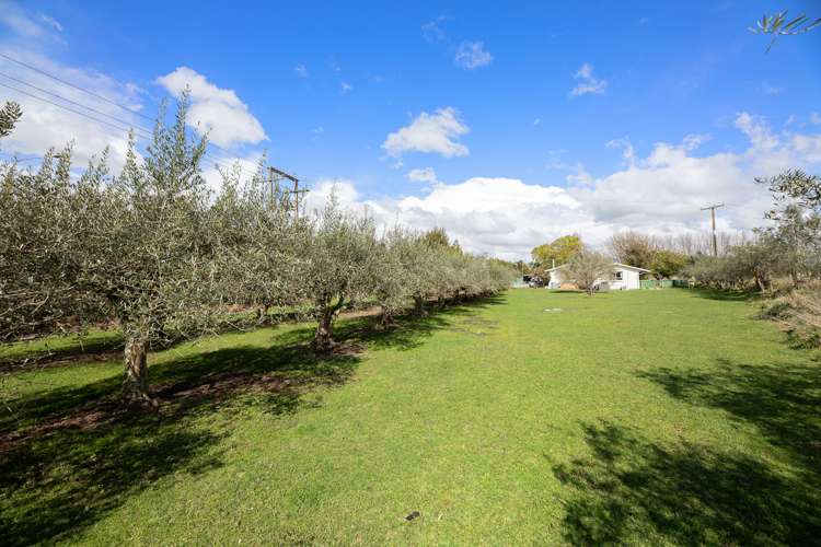 2214 State Highway 1 Spring Creek_24