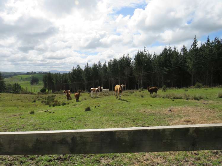 2203 Ararua Road Matakohe_18