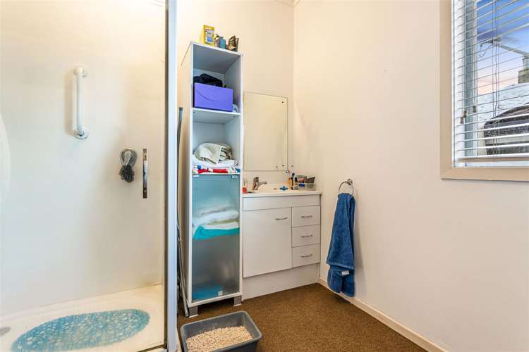 37 Johnstone Street Point Chevalier_16