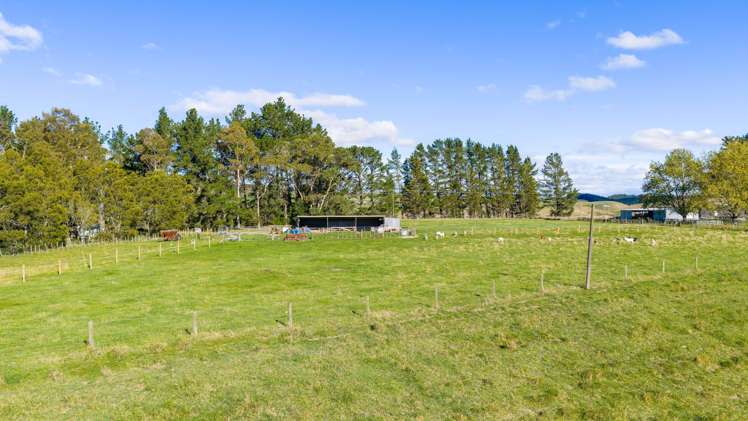 254 Wilder Road Porangahau_18