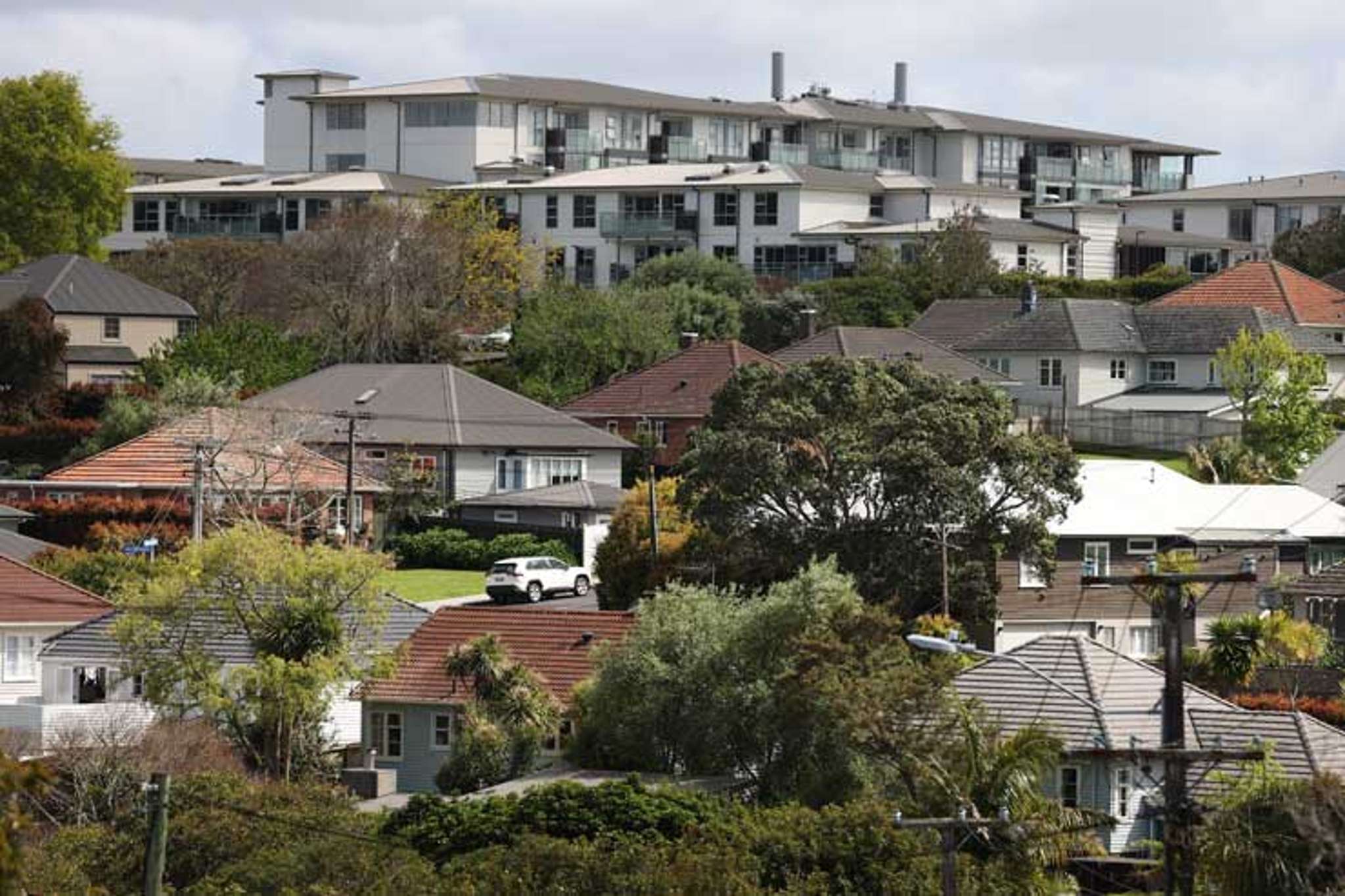 'Once they’re in Meadowbank, they don’t want to move out'