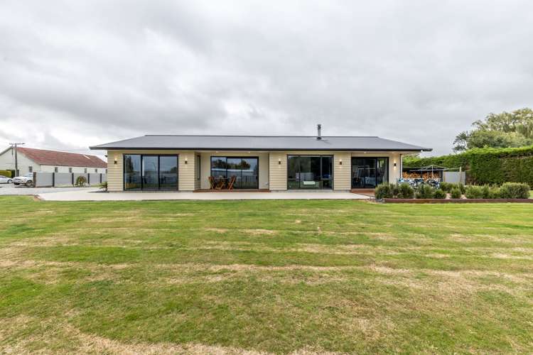 31 Hereford Street Riversdale_23