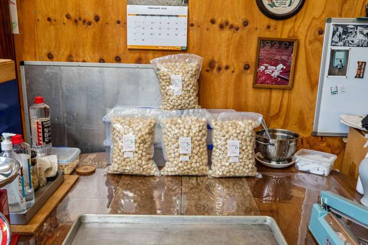 882 South Head Road South Head_16