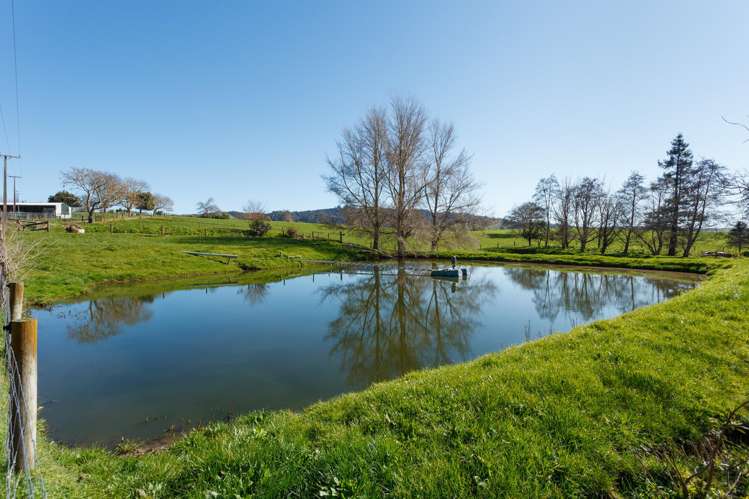 97 Herbert Road Morrinsville_30