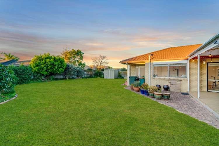 21 Lothian Brae Wattle Downs_14